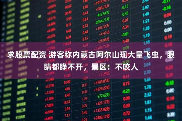 求股票配资 游客称内蒙古阿尔山现大量飞虫，眼睛都睁不开，景区：不咬人
