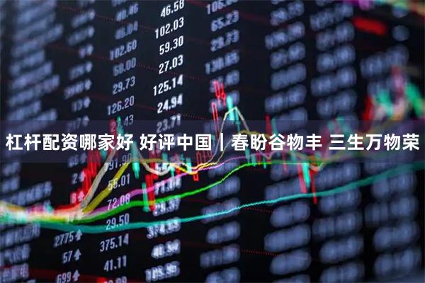 杠杆配资哪家好 好评中国|春盼谷物丰 三生万物荣