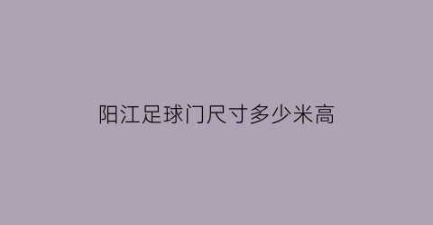 best365阳江足球门尺寸多少米高(江门室内足球场)