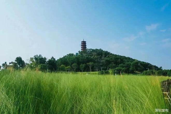 best365万悦山之后宏发又带综合体杀回来了样板房明天开！(图13)