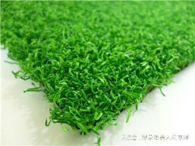 best365铺人造草坪多少钱一平方米：打造美丽庭院人造草坪价格惊喜！